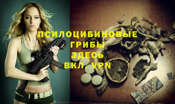 а пвп мука Каменка